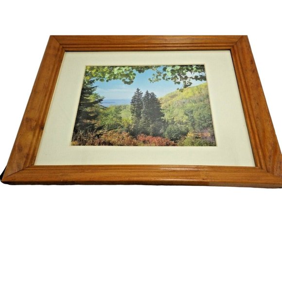 Colorado Landscape Trees Framed Photo Print Buffalo Pass Steamboat Springs - Picture 4 of 8